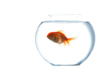 Similar image 1185576