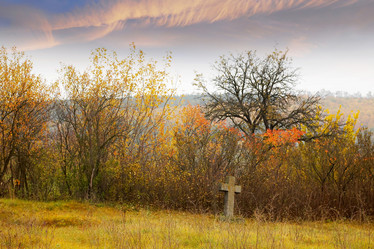 Similar image 1185580