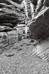 Similar image 1185584