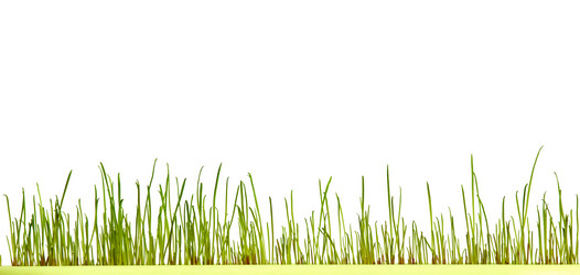 Similar image 1185608