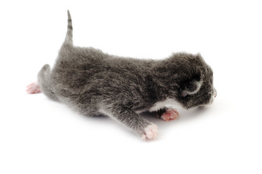 Similar image 1185610