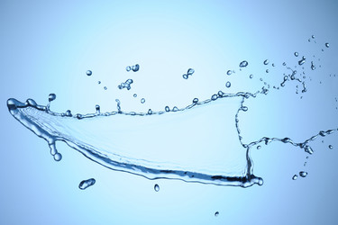 Similar image 1185622