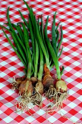 Similar image 1185627