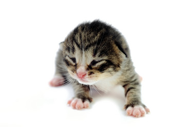 Similar image 1185630