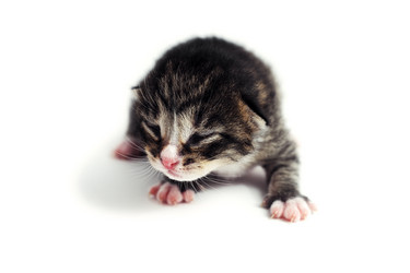 Similar image 1185631