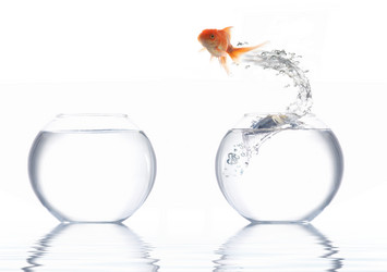 Similar image 1185643