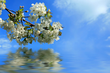 Similar image 1185651