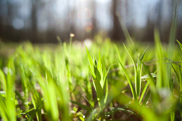 Similar image 1185655