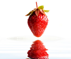 Similar image 1185656