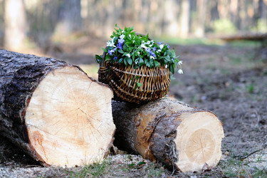 Similar image 1185663