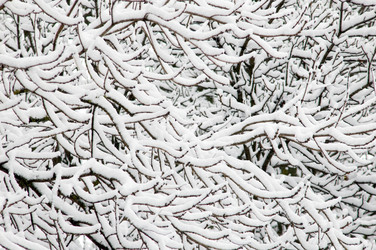 Similar image 1185668