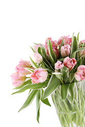 Similar image 1185672