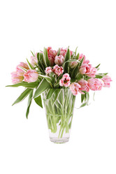 Similar image 1185674