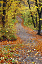 Similar image 1185679