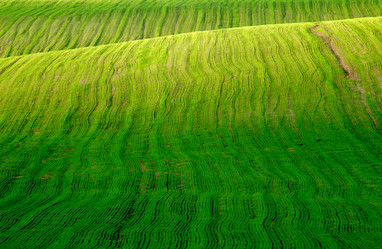 Similar image 1185685