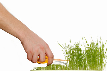 Similar image 1185693