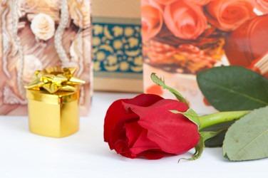 Similar image 1185695