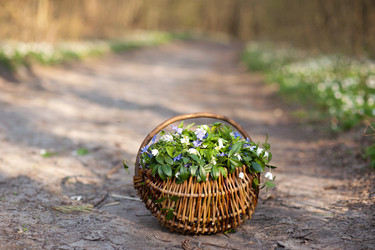 Similar image 1185696