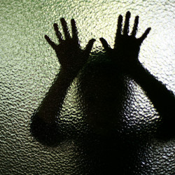 Similar image 1185718