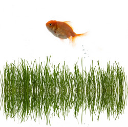 Similar image 1185722