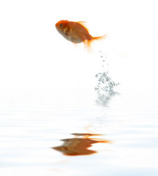 Similar image 1185723