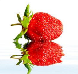 Similar image 1185724