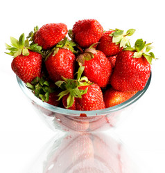 Similar image 1185726