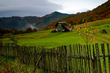 Similar image 1185738