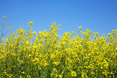 Similar image 1185750