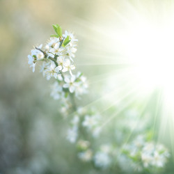 Similar image 1185756