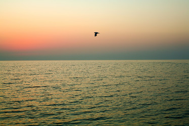 Similar image 1185779