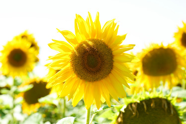 Similar image 1185794