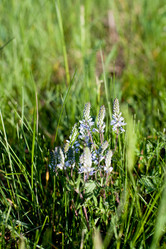 Similar image 1185804