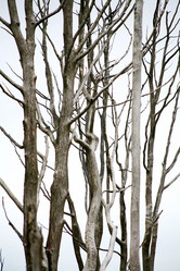 Similar image 1185814