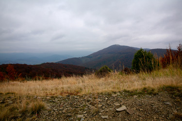 Similar image 1185815