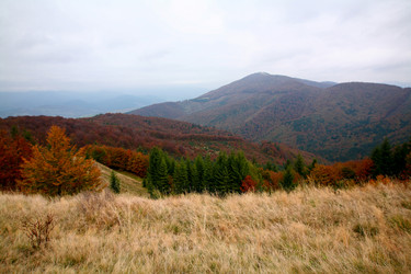 Similar image 1185818