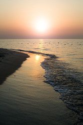 Similar image 1185826