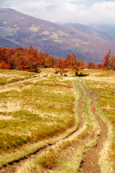 Similar image 1185830