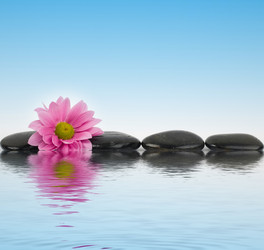 Similar image 1185839