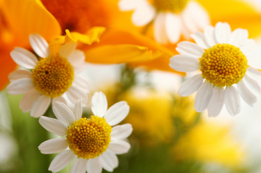 Similar image 1185844