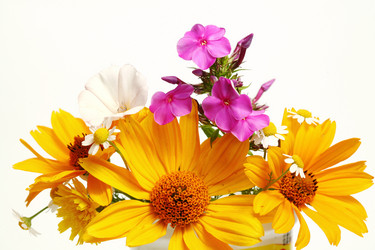 Similar image 1185846