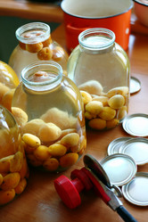 Similar image 1185853