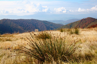 Similar image 1185862