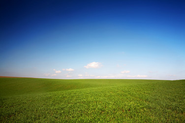 Similar image 1185869