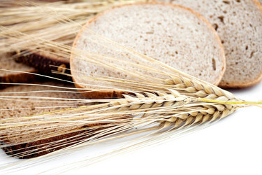 Similar image 1185872