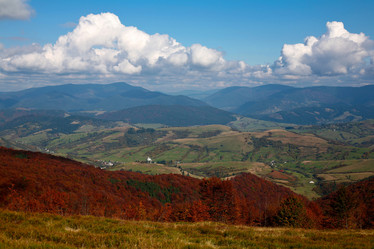 Similar image 1185878