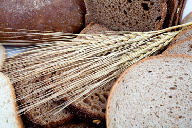 Similar image 1185887