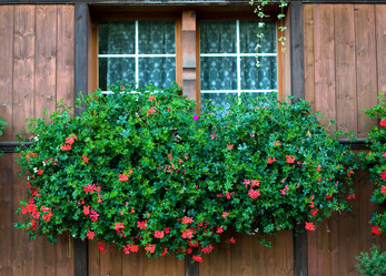 Similar image 1185890