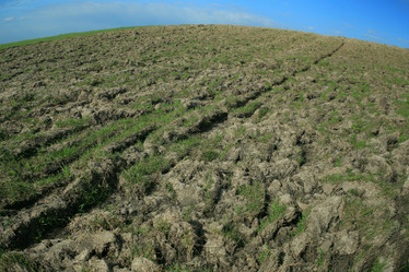 Similar image 1185896