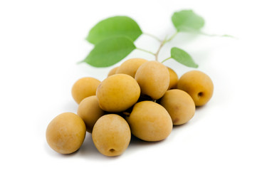 Similar image 1185904